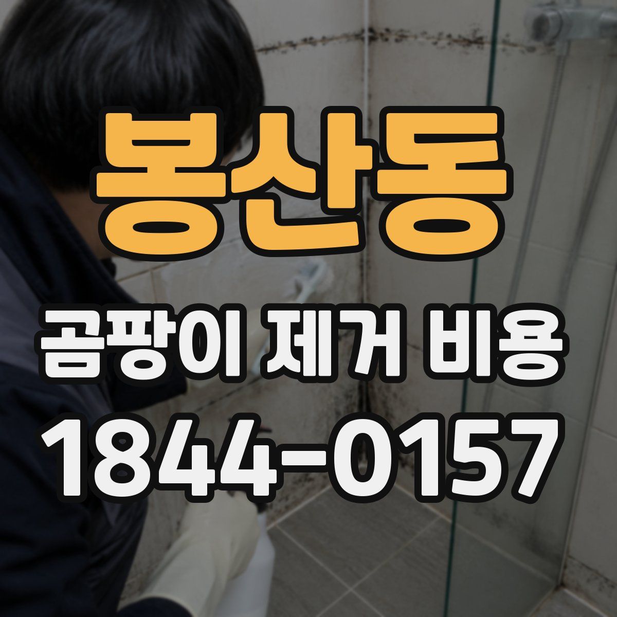봉산동 곰팡이 제거 비용