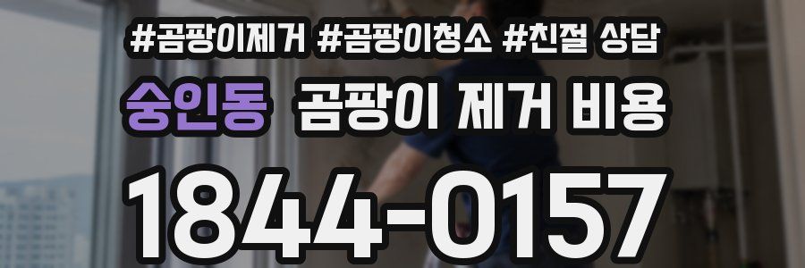 숭인동 곰팡이 제거 비용