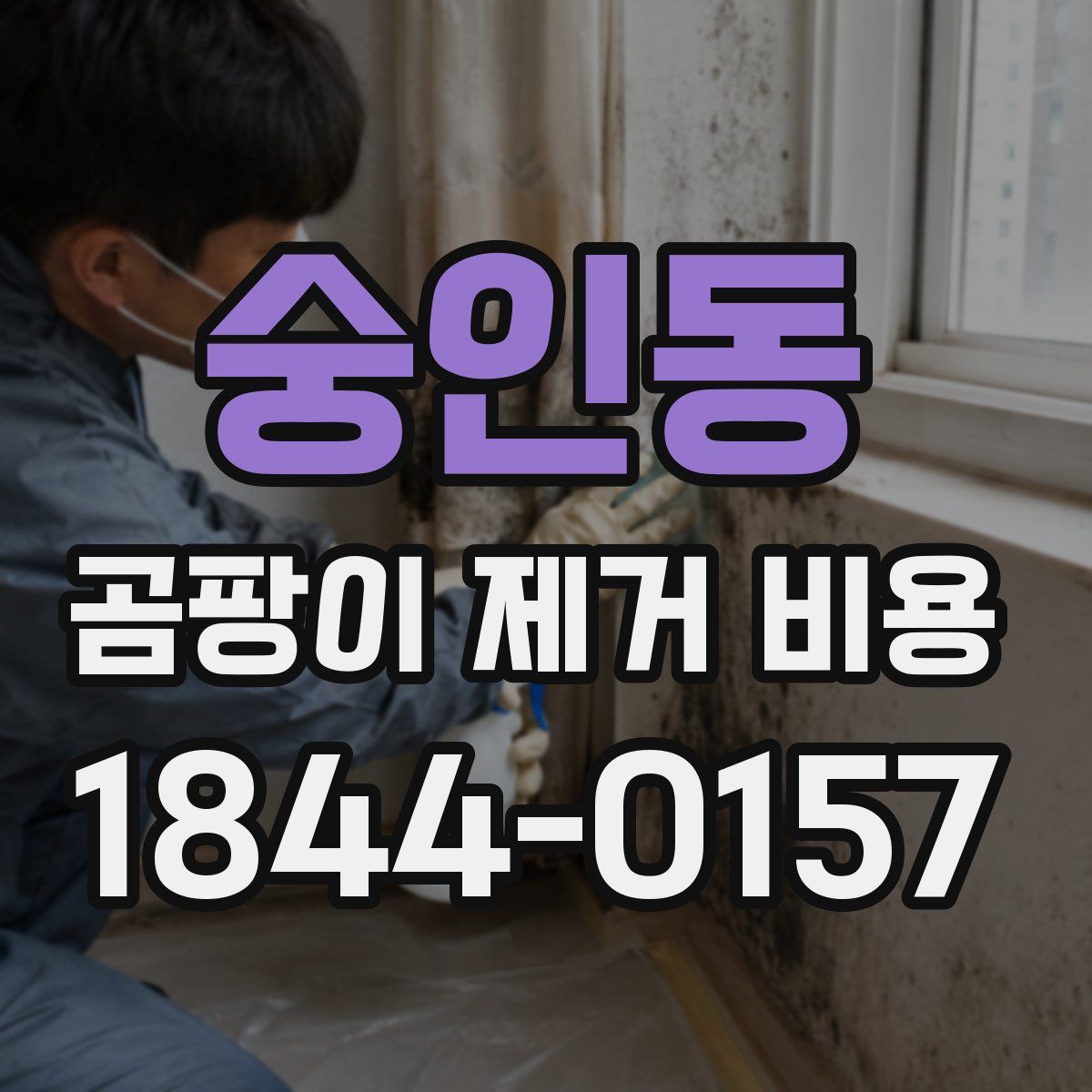 숭인동 곰팡이 제거 비용