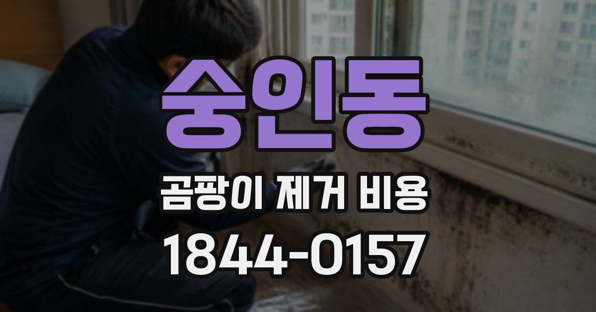 숭인동 곰팡이 제거 비용
