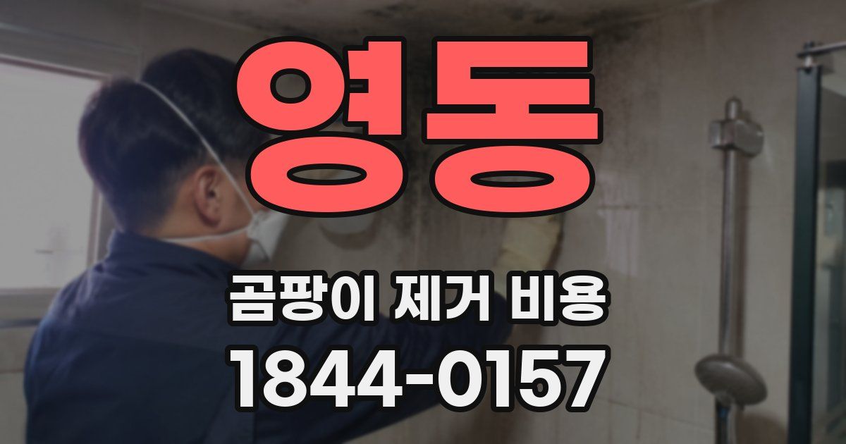 영동 곰팡이 제거 비용