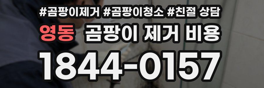 영동 곰팡이 제거 비용