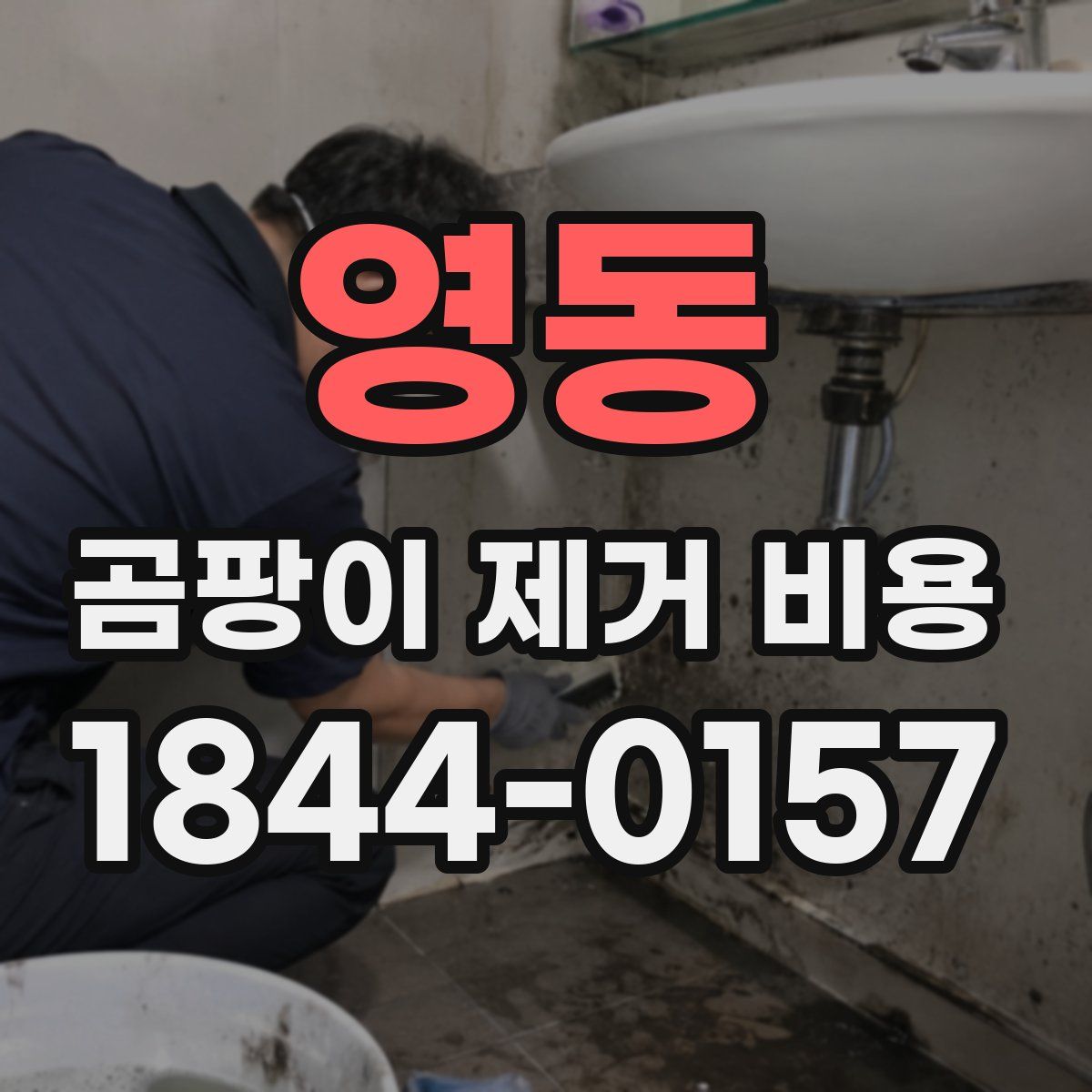 영동 곰팡이 제거 비용