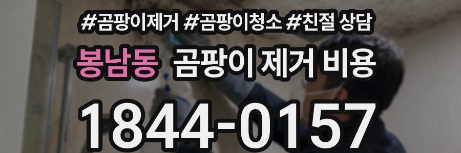 봉남동 곰팡이 제거 비용