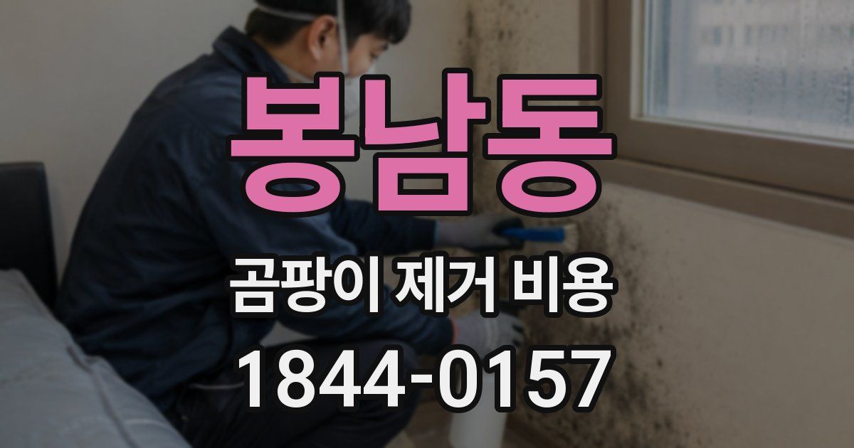 봉남동 곰팡이 제거 비용