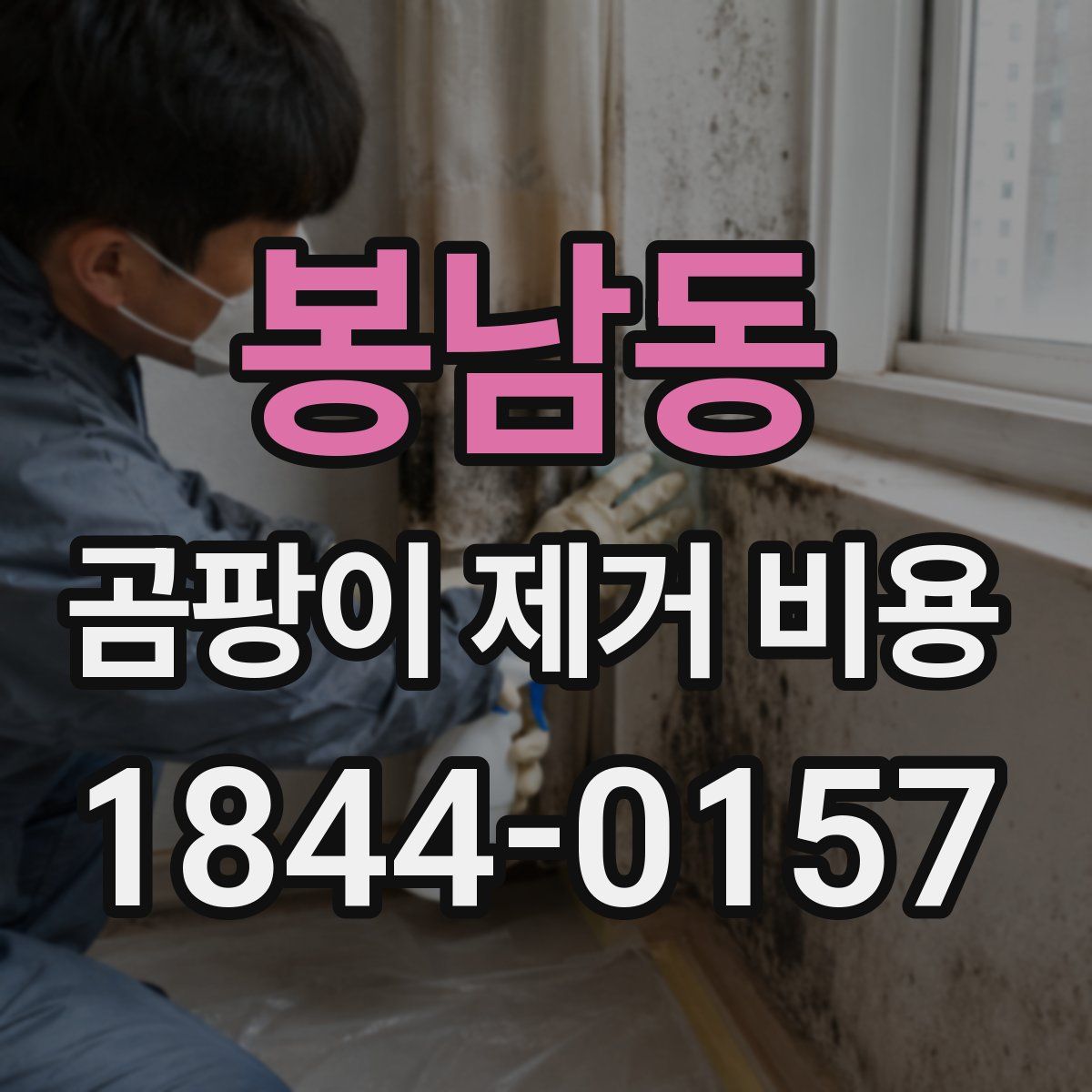 봉남동 곰팡이 제거 비용