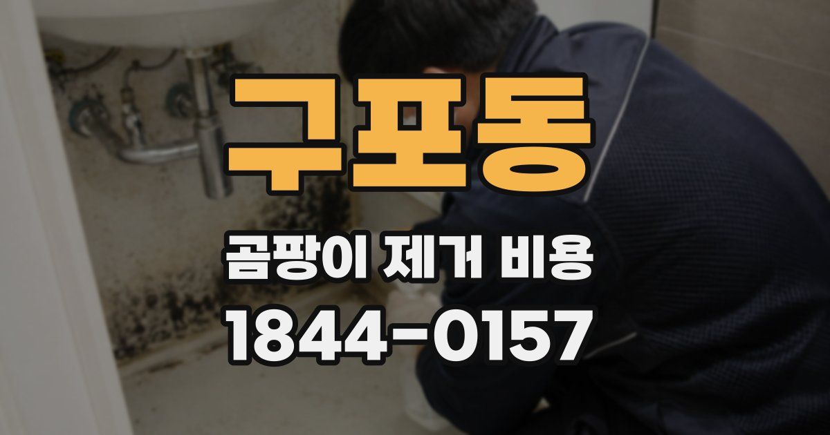 구포동 곰팡이 제거 비용