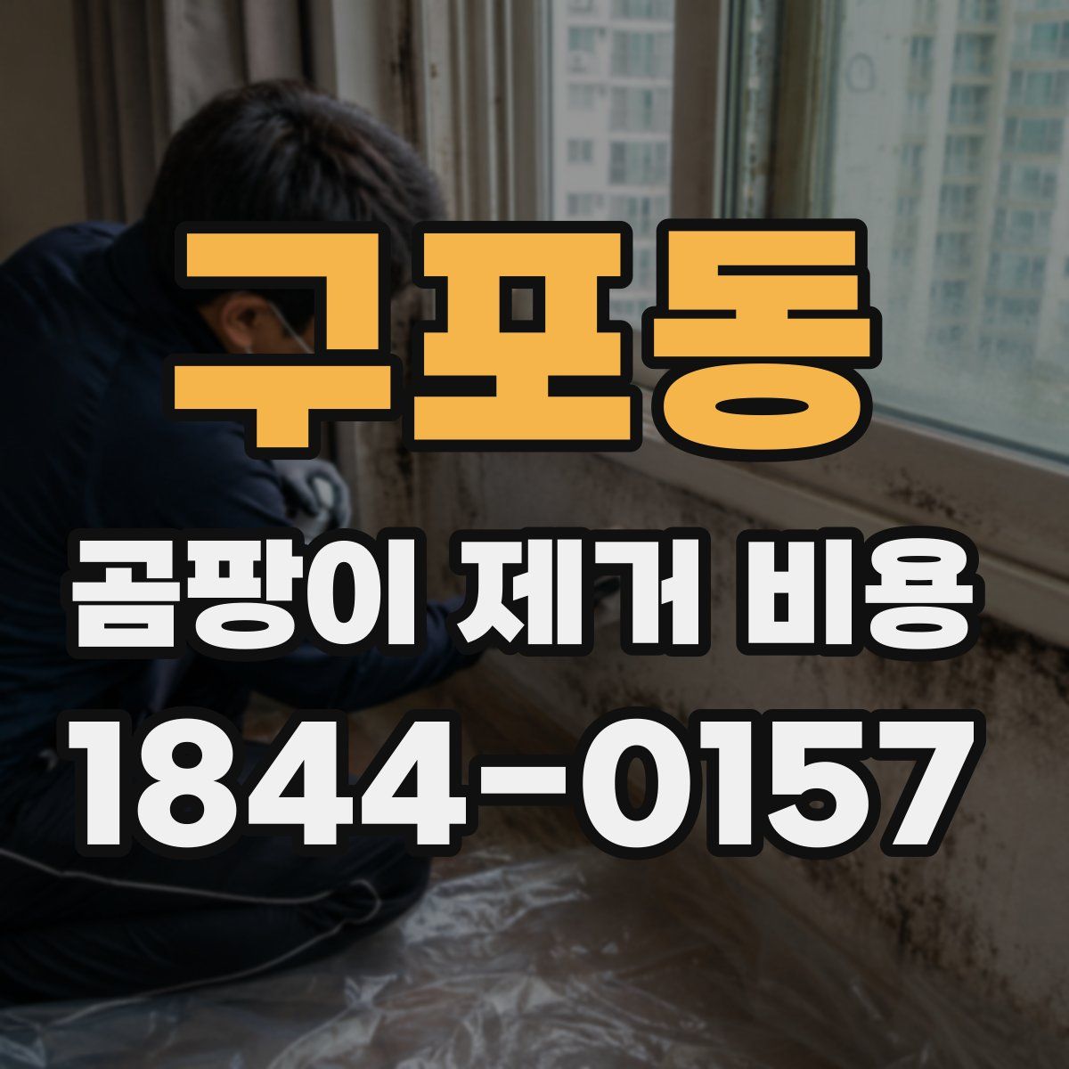 구포동 곰팡이 제거 비용