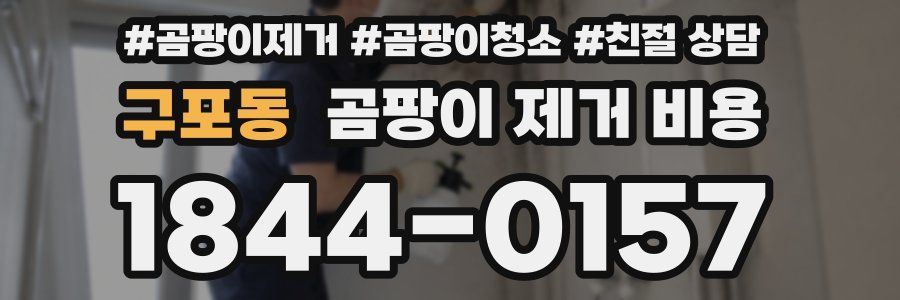 구포동 곰팡이 제거 비용