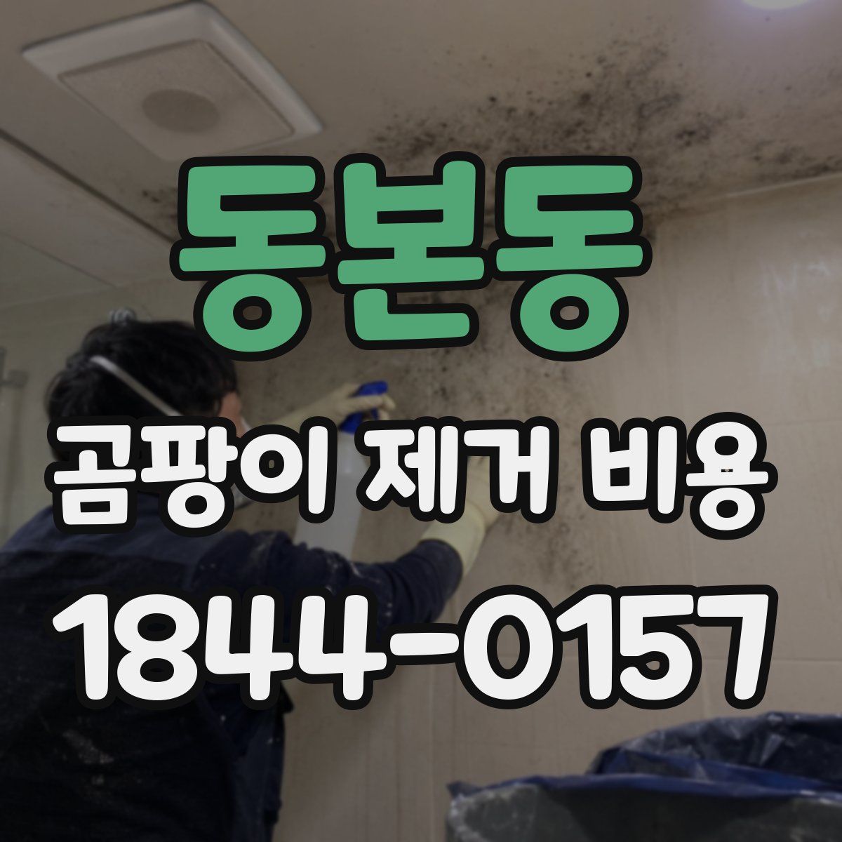 동본동 곰팡이 제거 비용