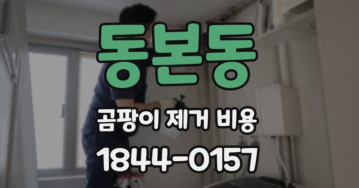 동본동 곰팡이 제거 비용