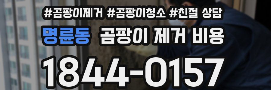 명륜동 곰팡이 제거 비용