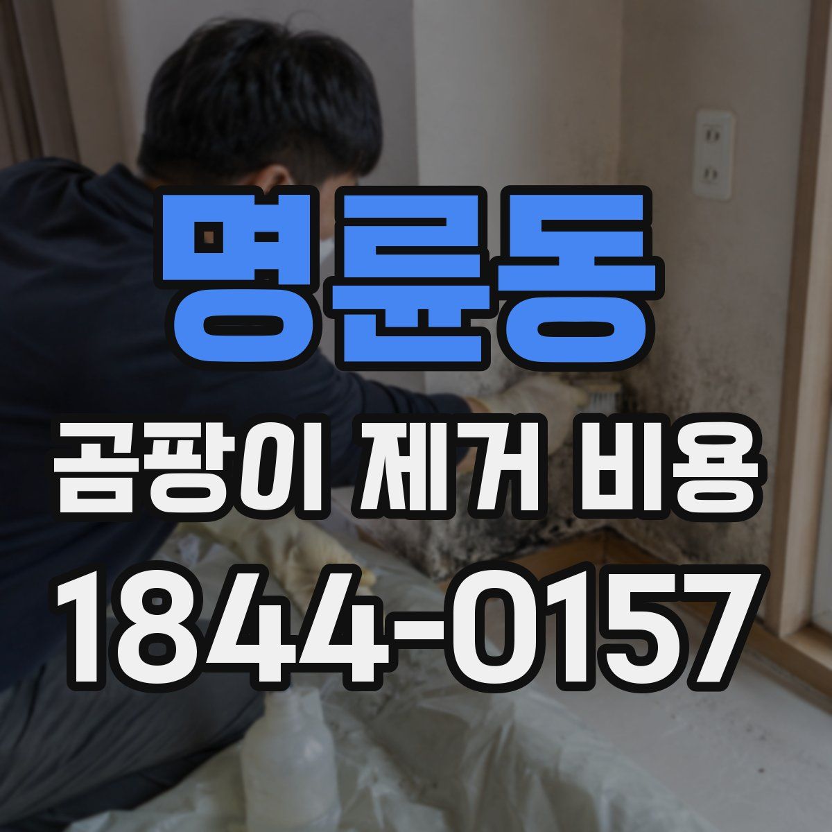 명륜동 곰팡이 제거 비용