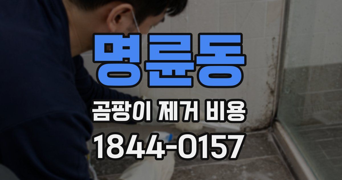 명륜동 곰팡이 제거 비용