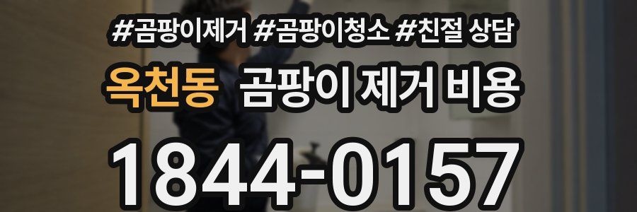 옥천동 곰팡이 제거 비용