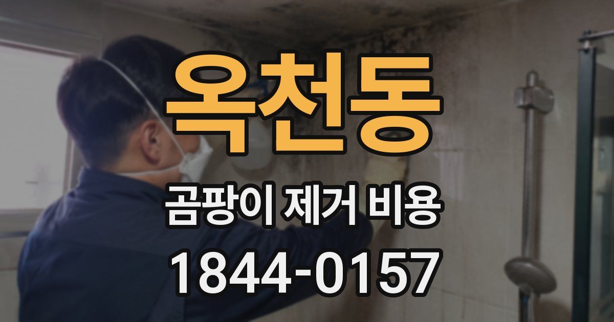 옥천동 곰팡이 제거 비용