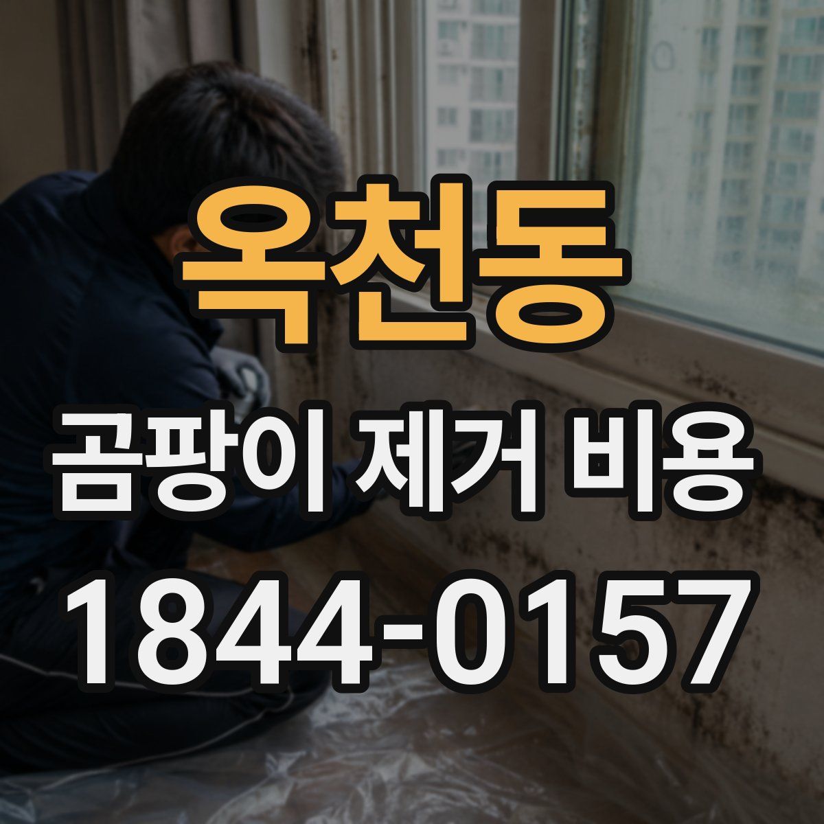 옥천동 곰팡이 제거 비용