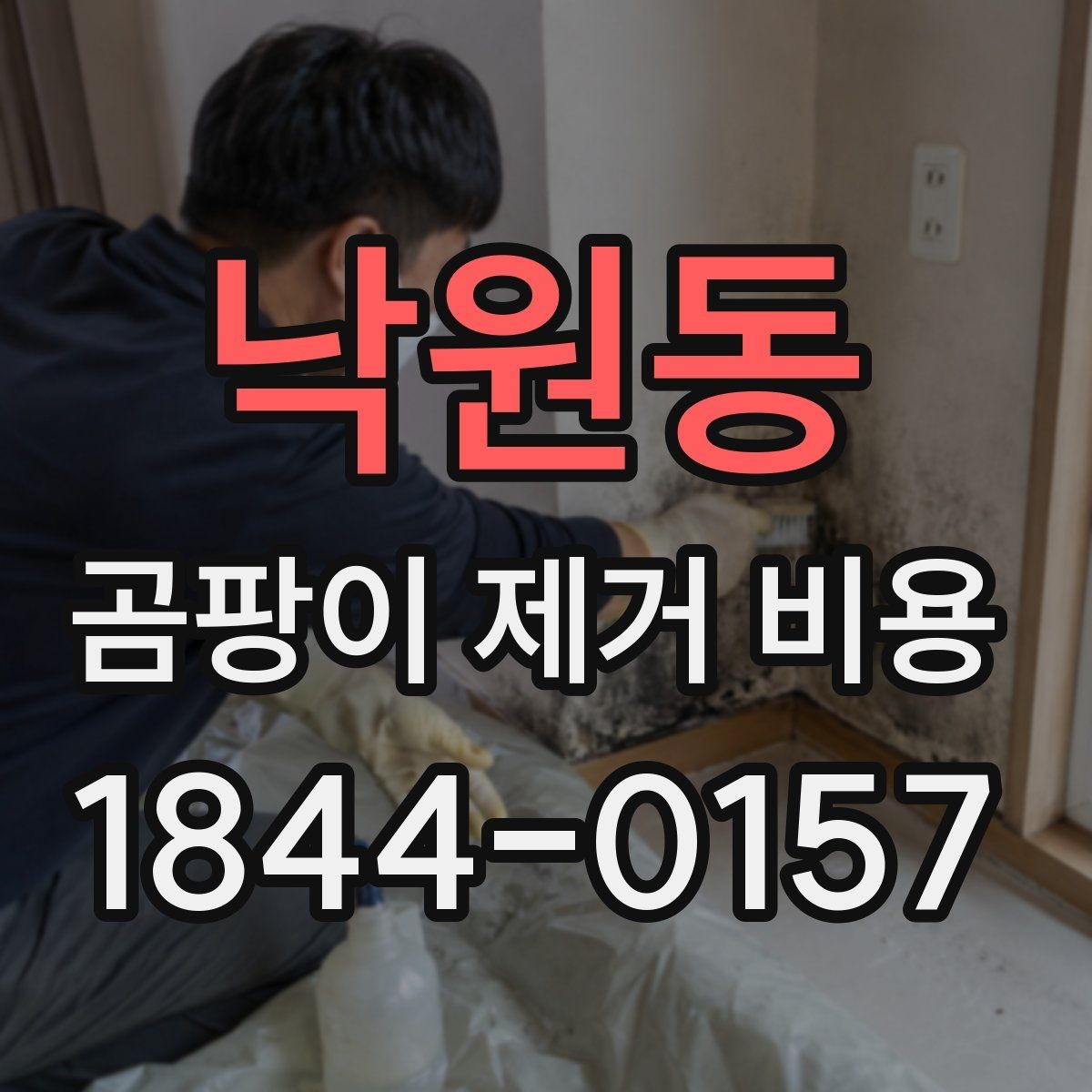 낙원동 곰팡이 제거 비용 문의 전 체크리스트