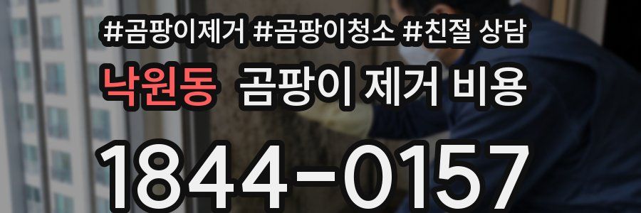 낙원동 곰팡이 제거 비용