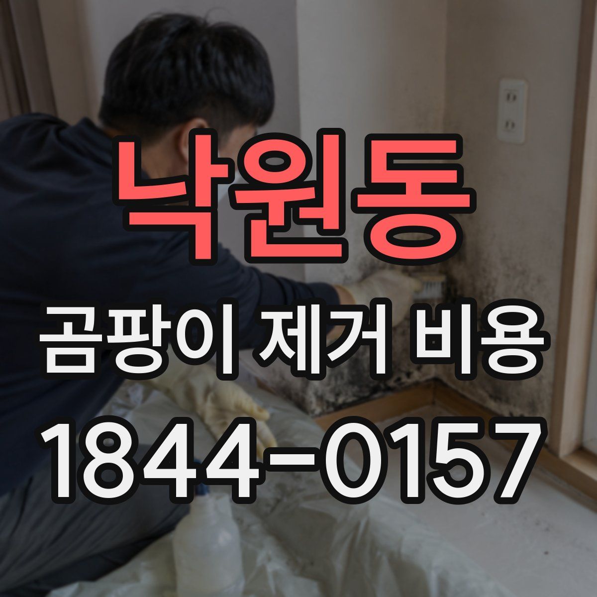 낙원동 곰팡이 제거 비용