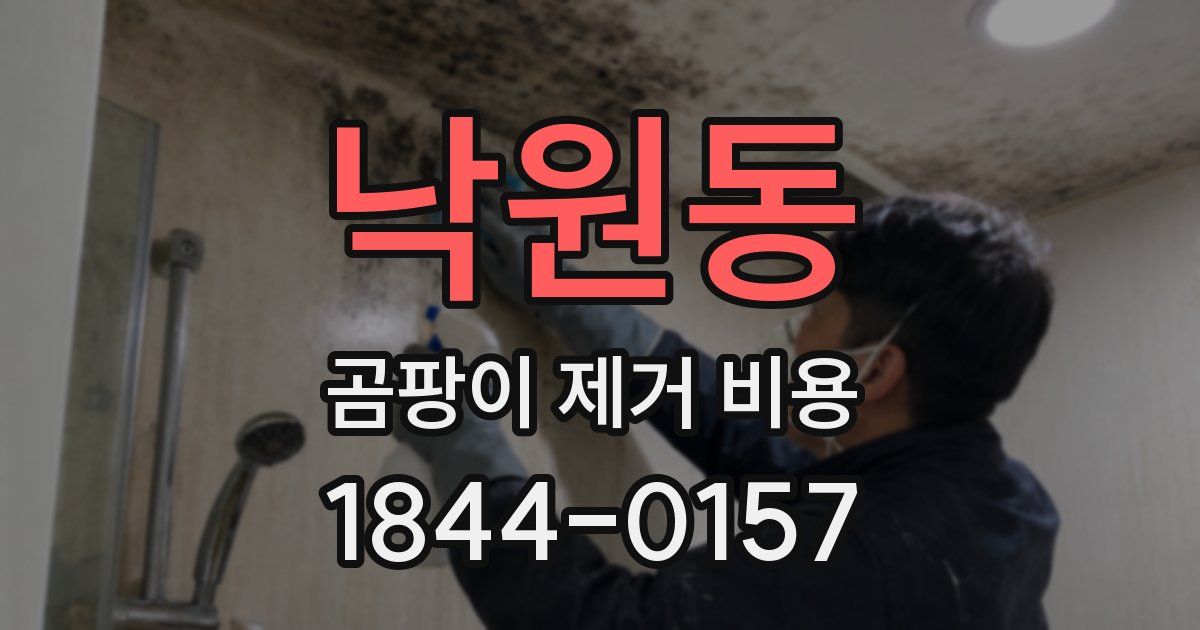 낙원동 곰팡이 제거 비용
