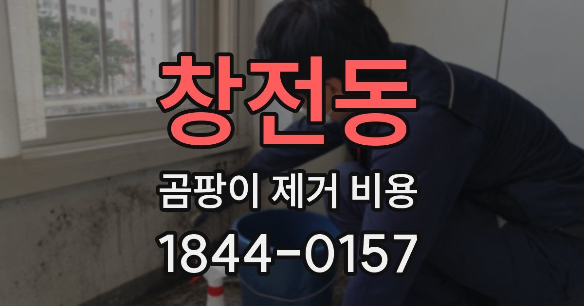창전동 곰팡이 제거 비용