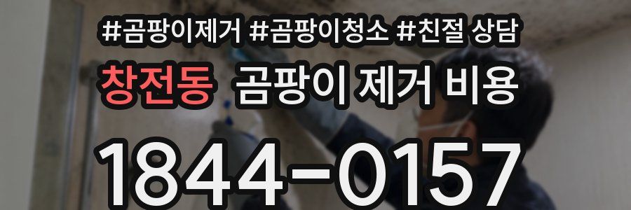 창전동 곰팡이 제거 비용