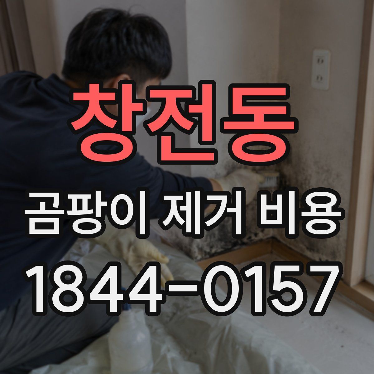 창전동 곰팡이 제거 비용