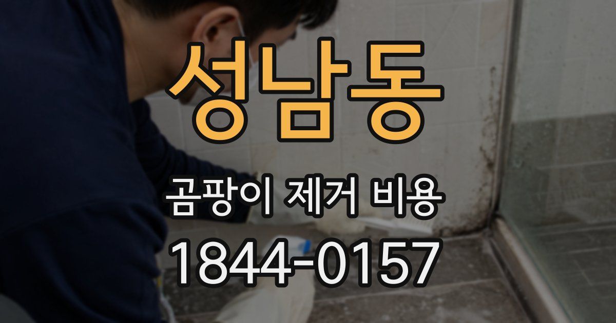 성남동 곰팡이 제거 비용