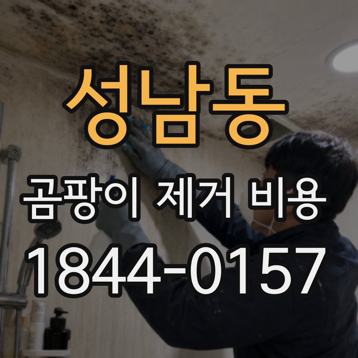 성남동 곰팡이 제거 비용