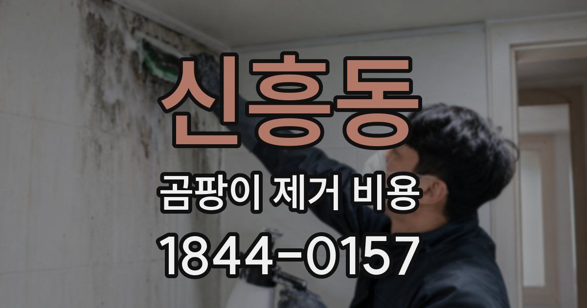신흥동 곰팡이 제거 비용