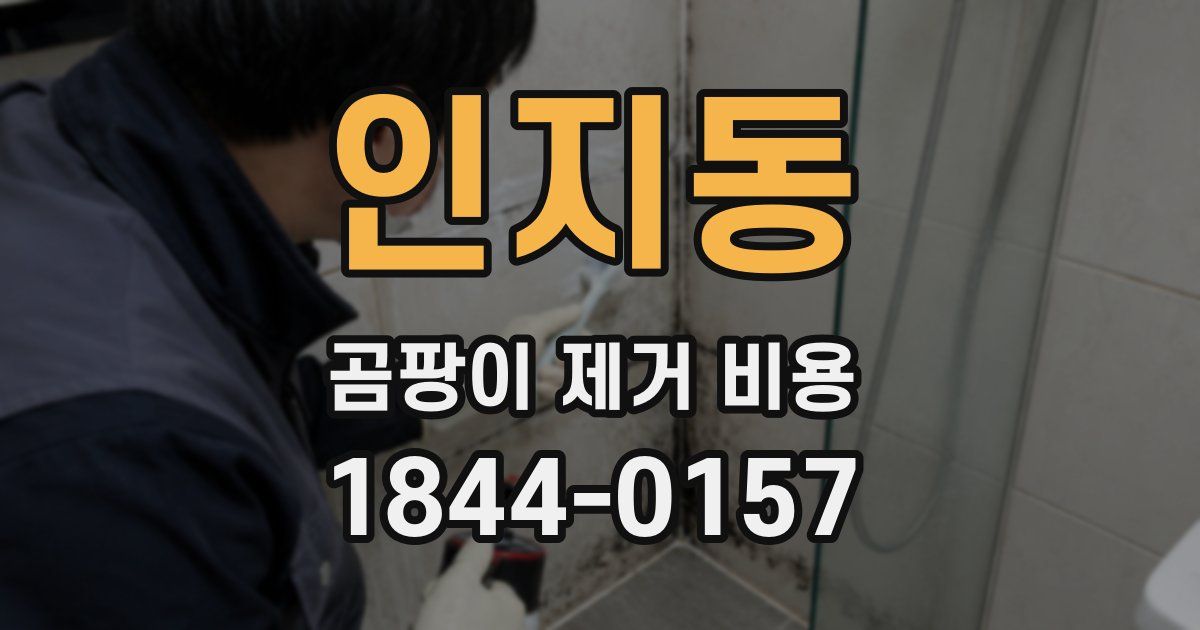 인지동 곰팡이 제거 비용