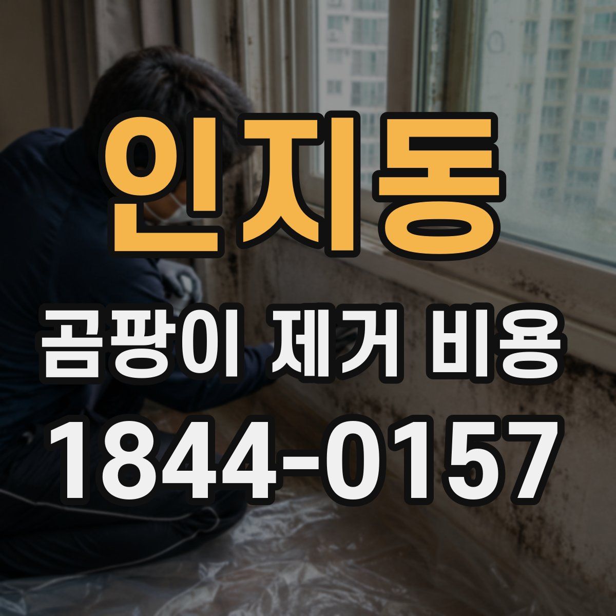 인지동 곰팡이 제거 비용