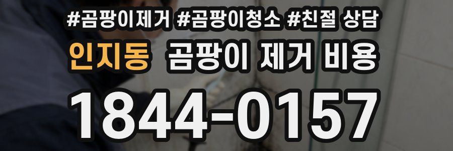 인지동 곰팡이 제거 비용