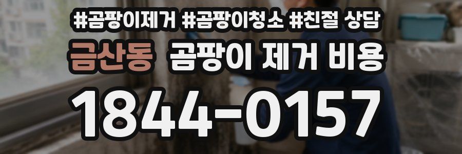 금산동 곰팡이 제거 비용