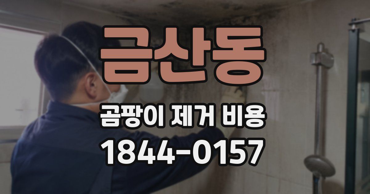 금산동 곰팡이 제거 비용
