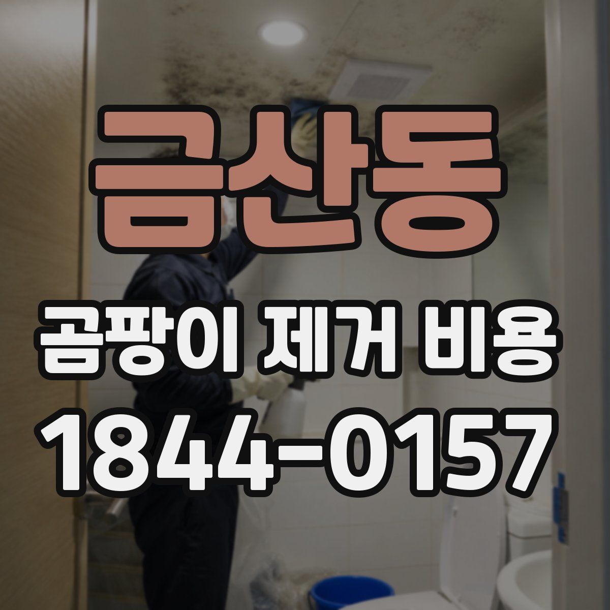 금산동 곰팡이 제거 비용