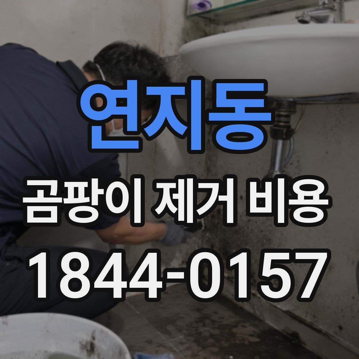 연지동 곰팡이 제거 비용