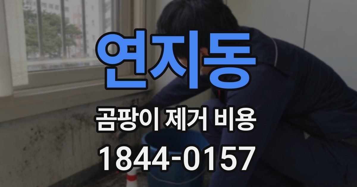 연지동 곰팡이 제거 비용