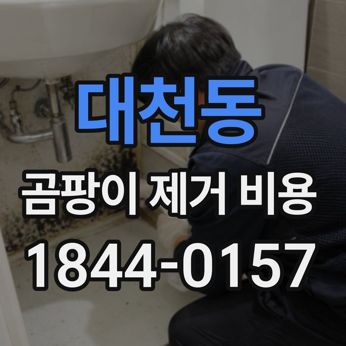 대천동 곰팡이 제거 비용