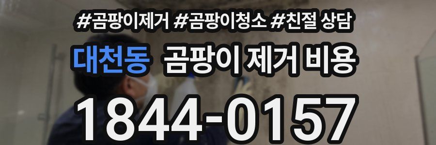 대천동 곰팡이 제거 비용