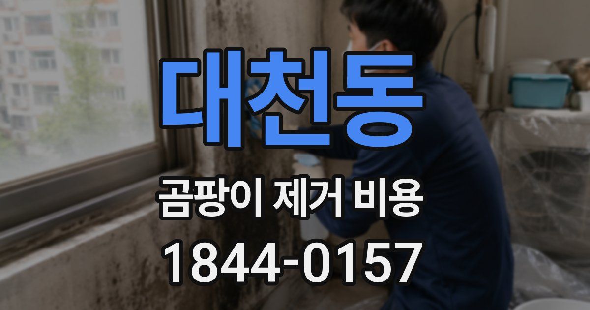 대천동 곰팡이 제거 비용