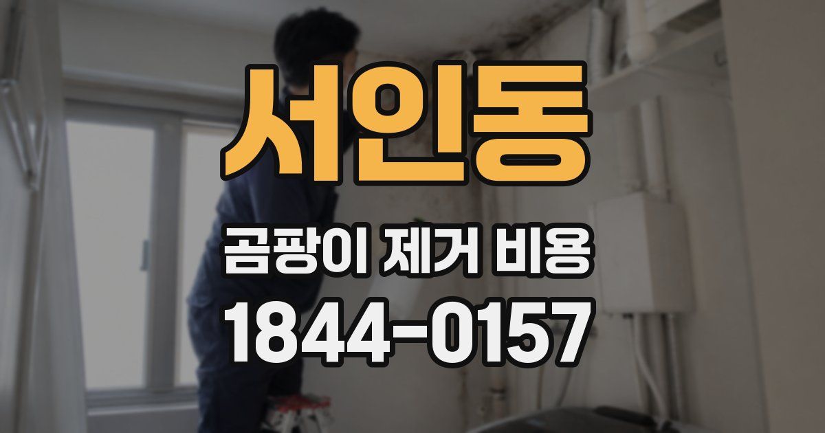 서인동 곰팡이 제거 비용