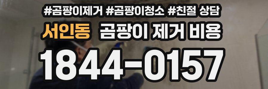 서인동 곰팡이 제거 비용