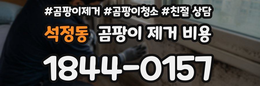 석정동 곰팡이 제거 비용