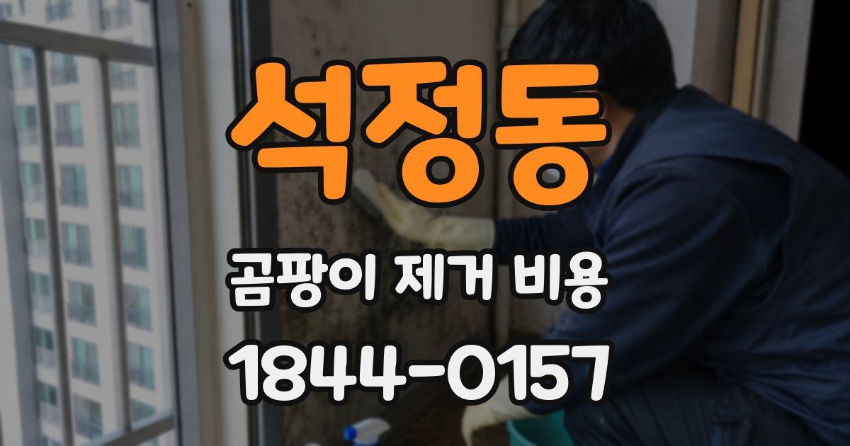 석정동 곰팡이 제거 비용