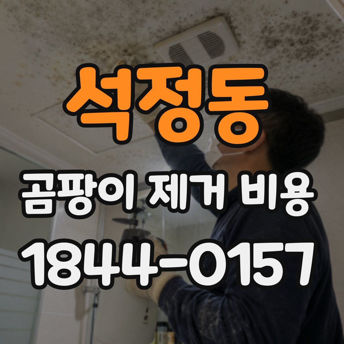 석정동 곰팡이 제거 비용