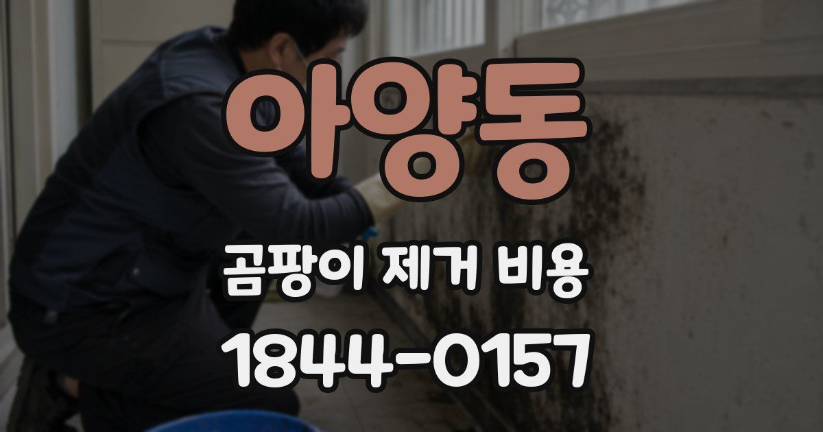 아양동 곰팡이 제거 비용