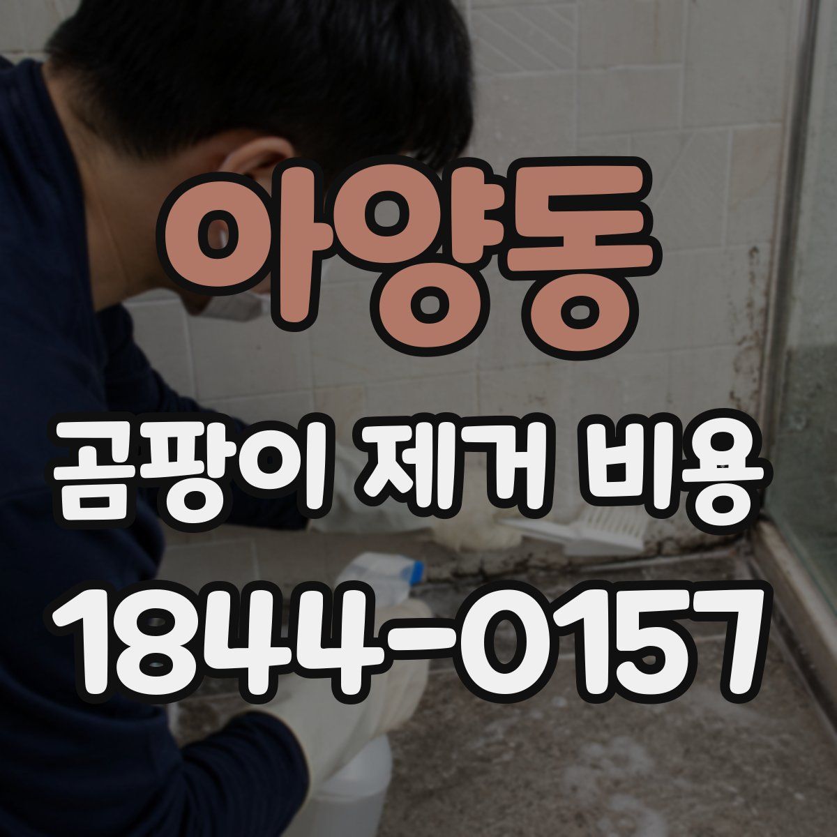 아양동 곰팡이 제거 비용