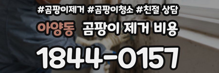 아양동 곰팡이 제거 비용
